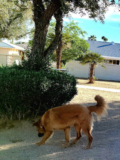 Duffeeland Dog Park *Key Required*
