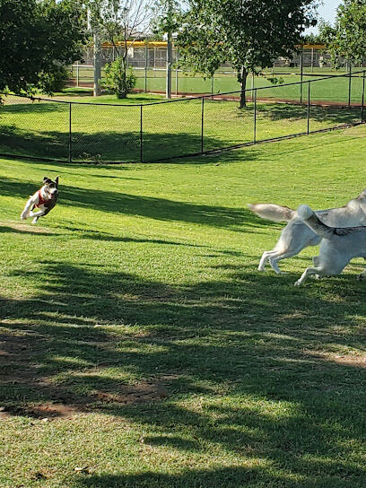 Dog Park