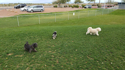Small Dog Park
