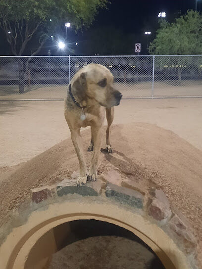Crossroads at Silverbell District Park - Dog Park