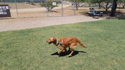 SaddleBrooke Dog Park - Private Community Park