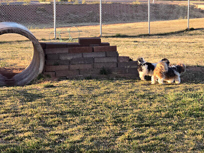 Winslow Bark Park