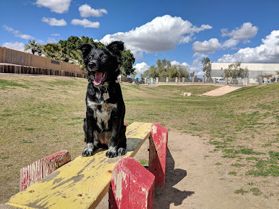 Dog Bark Park