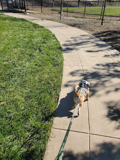 Dog Park