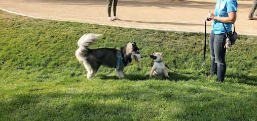 Maxwell Dog Park