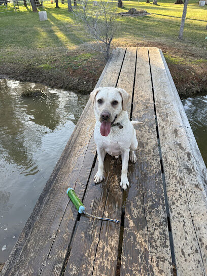Just My Dog Park