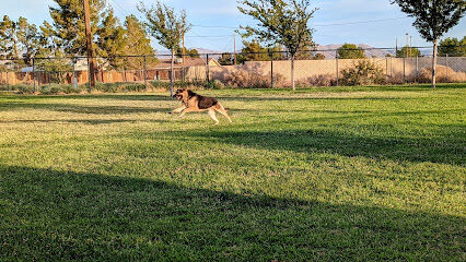 Civic Center Dog Park
