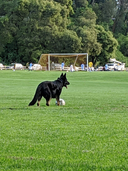 Polo Grounds County Park