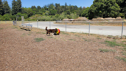Polo Grounds Dog Park