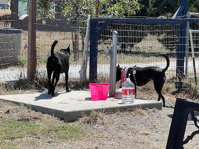 Aromas Dog Park