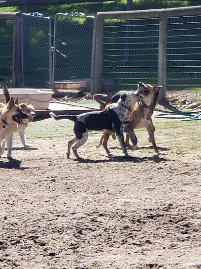 Heilmann Dog Park