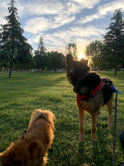 Seasons Dog Park