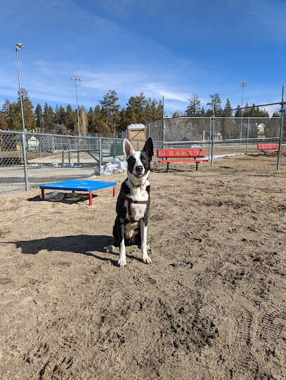 Bark Park