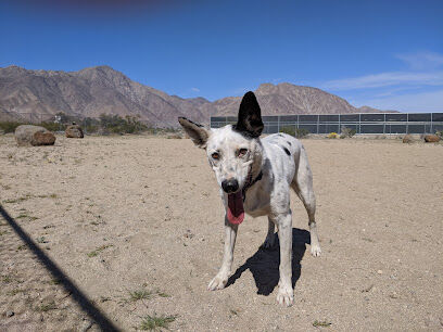 Borrego Springs Off-Leash Dog Area