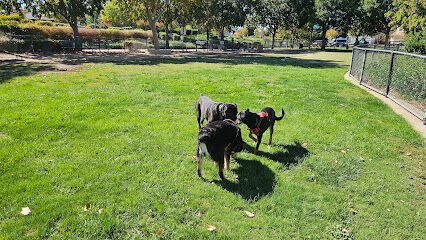 Kings Dog Park