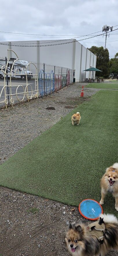 Brisbane Dog Park