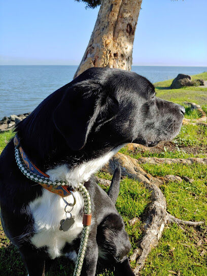 Burlingame Dog Exercise Park