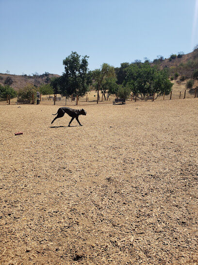 Dog park