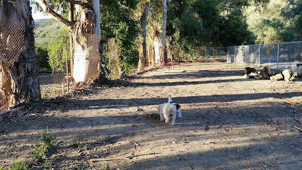 Camarillo Grove Park