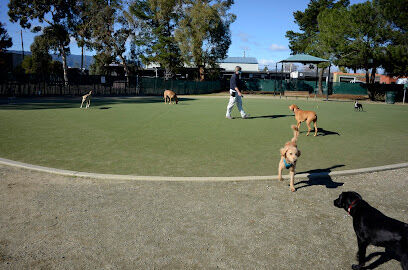 Dog Park | Los Gatos Creek