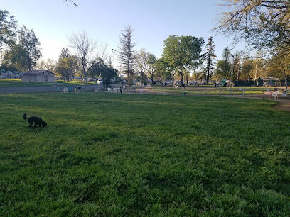 Carmichael Park Off Leash Dog Park