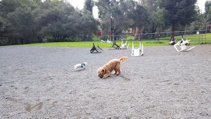Earl Warren Dog Park