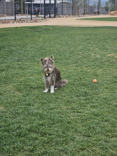 Esperanza park