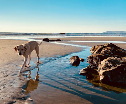 Morro Bay Dog Beach