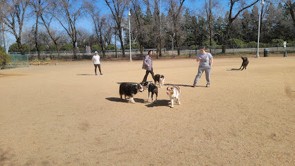 DeGarmo Dog Park