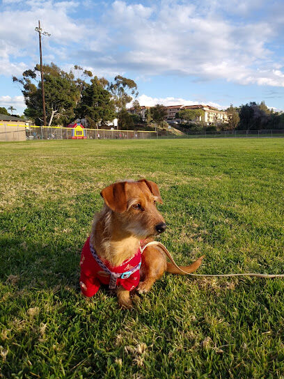 Eucalyptus Dog Park