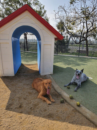 Town Center Dog Park