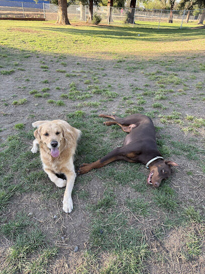 Letterman Dog Park