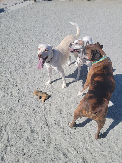 Coalinga Dog Park