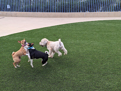 Newport Beach Dog Park
