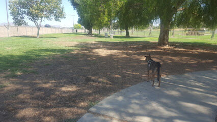 Corona Dog Park