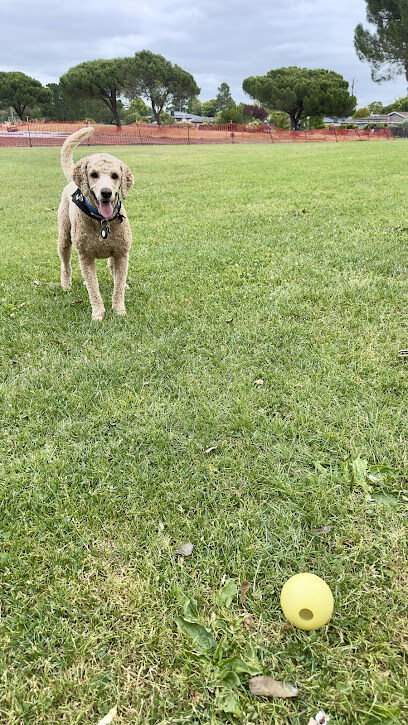 Corte Madera Dog Park