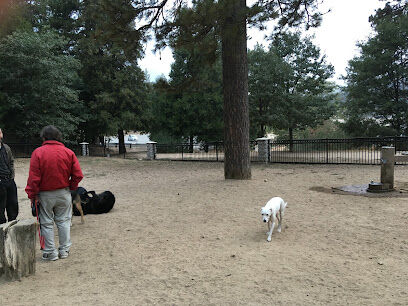 Lake Gregory Dog Park