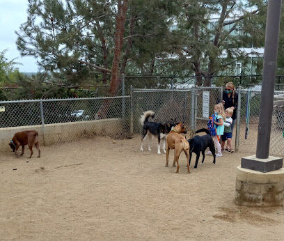 Boneyard Dog Park