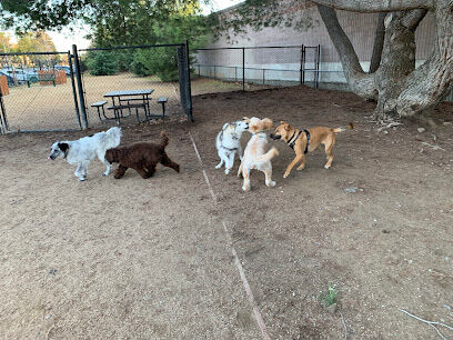 Mary Avenue Dog Park