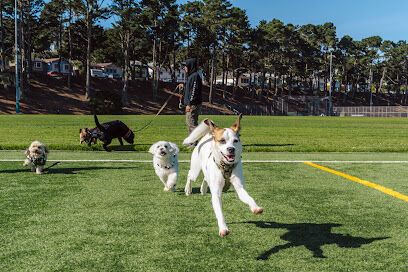 Gellert Park Dogs Association