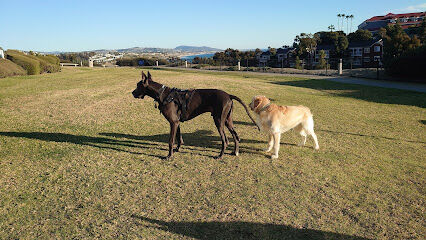 Crystal Cove Dog Park