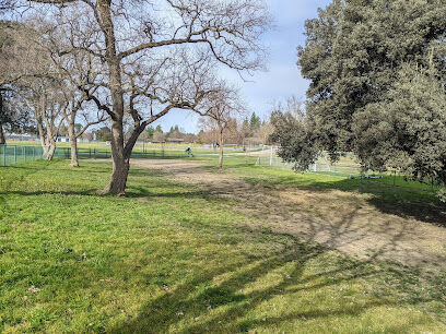 Davis Community Park Fenced Dog Area