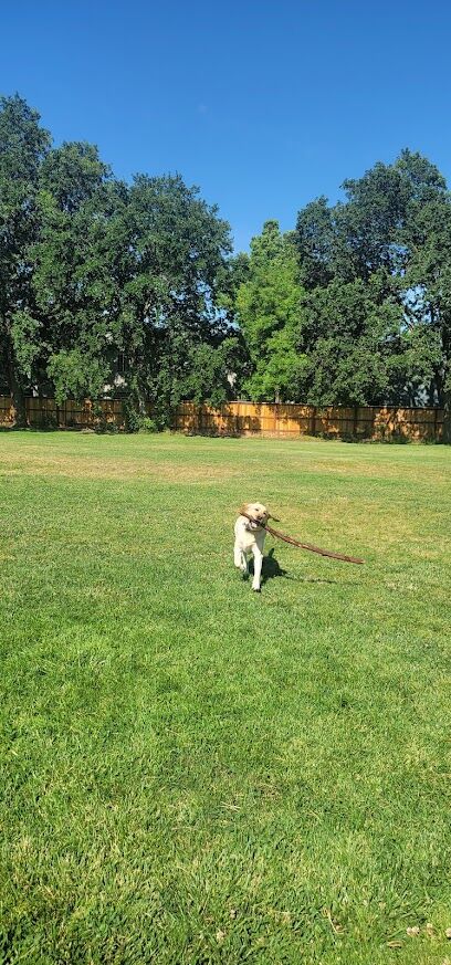 Walnut Park Unfenced Offleash Dog Area