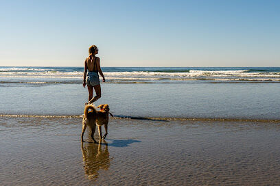 Del Mar Dog Beach