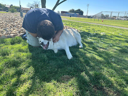 Delano Dog Park