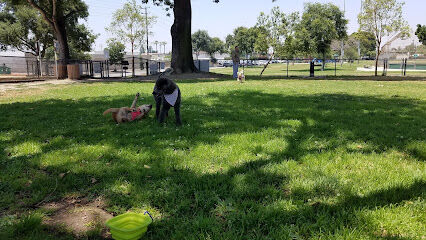 Rio San Gabriel Dog Park
