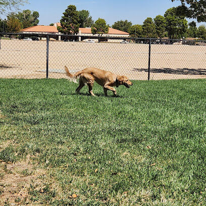 Dog Park