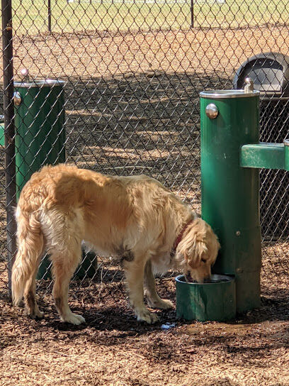El Dorado Hills CSD Community Dog Park
