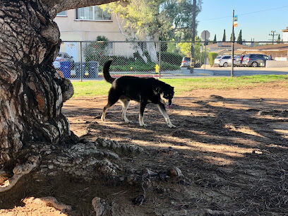 El Segundo Dog Park
