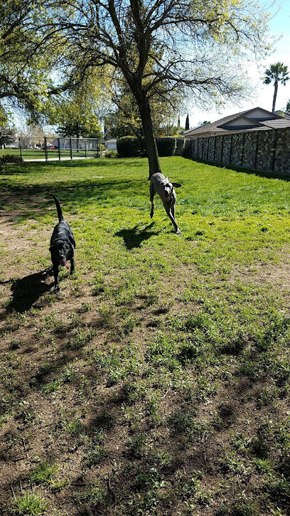 Laguna Community Park